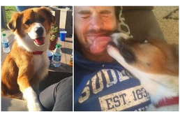 Amerika Kapitány él-hal a kutyákért, menhelyről fogadta örökbe kedvencét