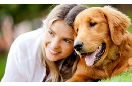 Olyan a kutya mint a gazdája? – ők is lehetnek pesszimisták