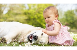 Gyerekvállalás előtt kutya?