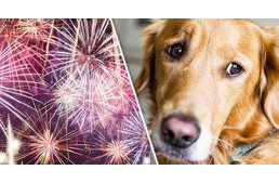 Nem lesz tűzijáték újévkor Prágában