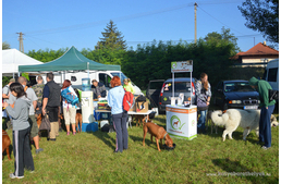 A IV. Vizsla Túra Fesztiválon jártunk