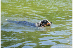 Bányatavak - csak a kijelölt helyen fürödj!