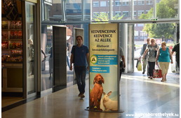 Megnyitotta kapuit az állatok előtt az Allee