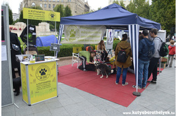 Munkatársat keres az EB OVO!