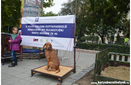 Teszt alatt a Kutyaparkoló és a KutyaWC