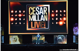 Cesar Millan újra Magyarországon!