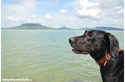 Hivatalosan is megnyílt a Balaton első kutyabarát fürdőhelye!