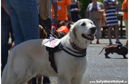 Állati hétvége: ilyen volt az első PetExpo