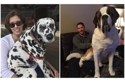 Miért ül rám a kutyám?