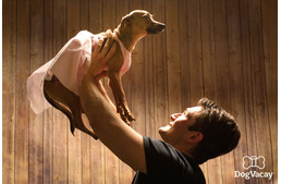 8 ikonikus filmjelenet kutyákkal újragondolva