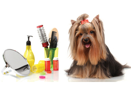 Praktikák – Kozmetikai trükkök otthonra