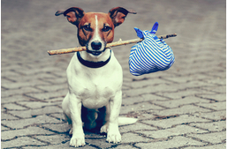 Mehet amerre lát, jön a gyerek - mert ilyen is van!