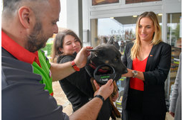 Újabb 21 MOL-kúton helyeznek el chipolvasót