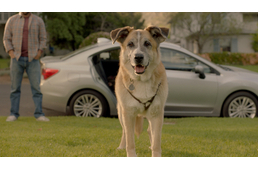 Álommá vált utolsó hétvége