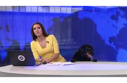 Élő adásban ijesztett rá a macskás híradósra a fekete kutya