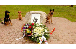 Emlékművet állítottak Budapesten a bántalmazott állatokért