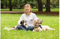 Terápiás kutyák a kávézóban