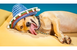 Tippek a zökkenőmentes nyaraláshoz