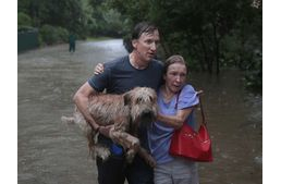Ezrek segítik a bajbajutott állatokat a Harvey hurrikán pusztítását követően