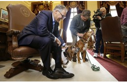 Kitüntetést kapott a leghűségesebb kutya, Tillie!