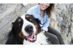 Hogyan legyél a kutyád legjobb barátja? - Alapvető tudnivalók