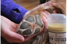 Miért nem fázik a kutya talpa? 