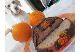 Itt bizony a kutyák viszik a prímet (meg a falatkát)!