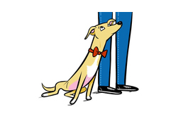 10 különleges eset, mikor kutyád azt akarja mondani Neked: Szeretlek!