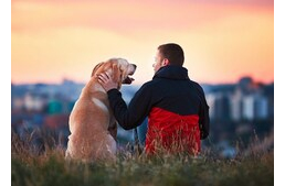 Magányos farkas - Lehet, hogy introvertált a kutyád?
