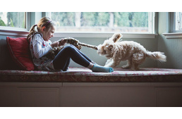 Hogyan játssz még jobban kutyáddal?