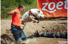 Hard Dog Race Wild – ilyen volt a verseny a szervező szemével