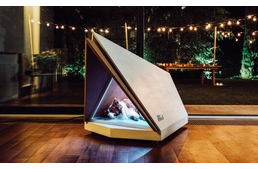 Hangszigetelt kutyaházat tervezett a Ford, amiben a kutyák átvészelhetik a szilvesztert