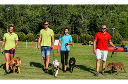 Menhelyről örökbefogadott és még gazdira váró kutyákkal készült a vízilabda válogatott a vb-re