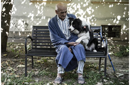 Kutyás fotók a 38. Magyar Sajtófotó díjazottjai között