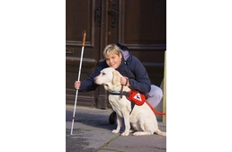 Kutyagoló ébredezés