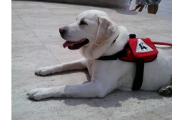 Mancs a kézben nyaraltunk