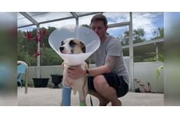 Négyméteres aligátor szájából mentette meg kutyáját a gazdi