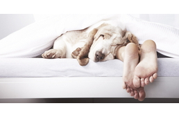 Te megengeded, hogy az ágyadban aludjon?