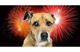 Augusztusi tűzijáték: készülj fel rá időben!