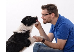 Milán, a kutyafotós