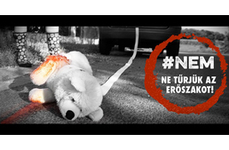 Egy emberként követeli az ország az állatkínzó nő elítélését