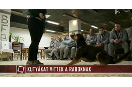 Terápiás kutyák a börtönben