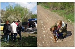 Meglepetésnapot szerveztek a gazdikereső ebeknek