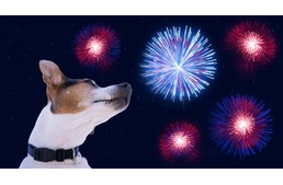 Betilthatják Angliában a tűzijáték értékesítését