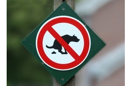 Amitől bárkiből "kijöhet az állat"