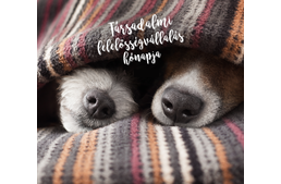 Gazdikat talált a Starbucks