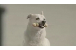 Jó tett helyébe jót várj...! 