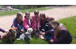 Gyerek versus kutya? – Tényleg ezt kell erősíteni?