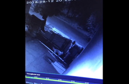 Kerítésen át loptak el egy kutyát Pécsett