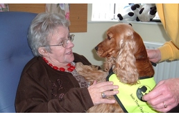 A terápiás kutyának hála újra elkezdett enni és beszélni az idős néni három nap után